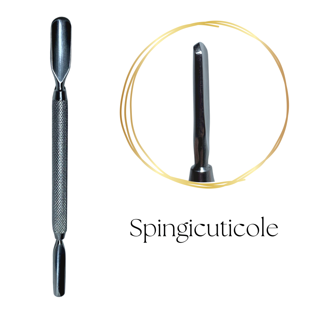 Spingicuticole